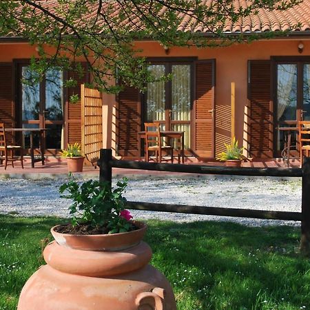 Erba Di Campo Residence Quercianella Exteriér fotografie